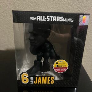 Small all star mini Lebron